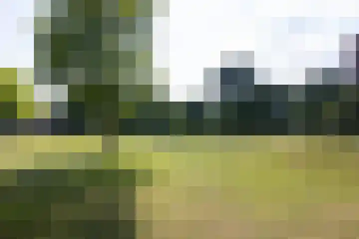 Maasboulevard 52 Schiedam thumbnail 28