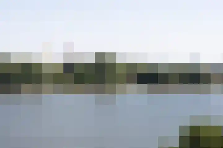 Maasboulevard 52 Schiedam thumbnail 29