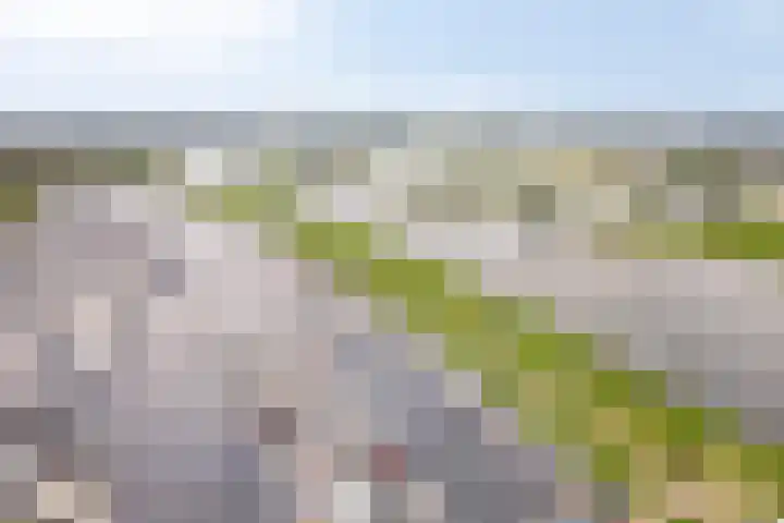 Maasboulevard 53 Roermond thumbnail 57