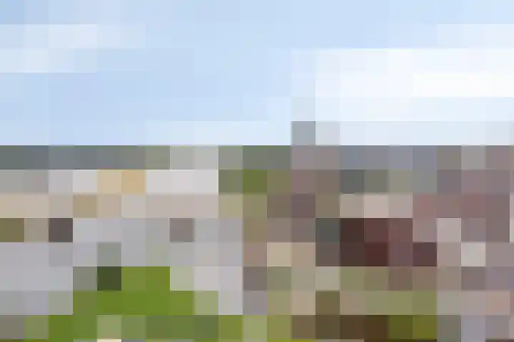Maasboulevard 53 Roermond thumbnail 58