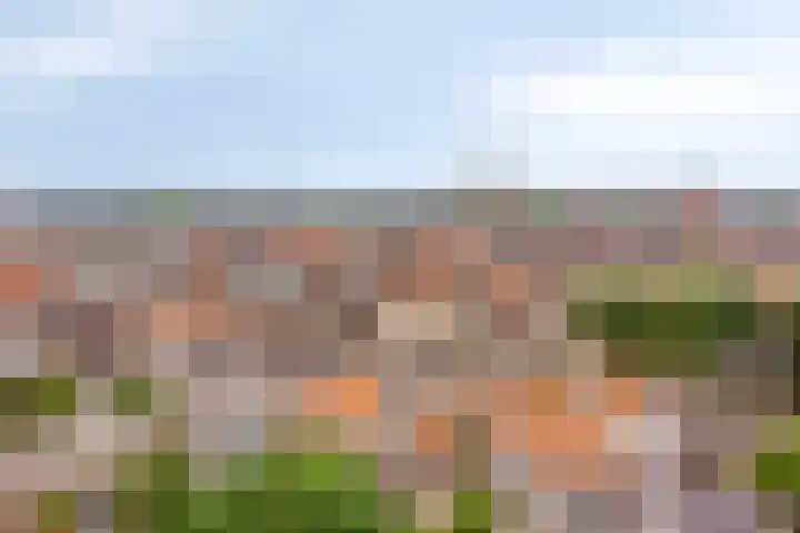 Maasboulevard 53 Roermond thumbnail 62