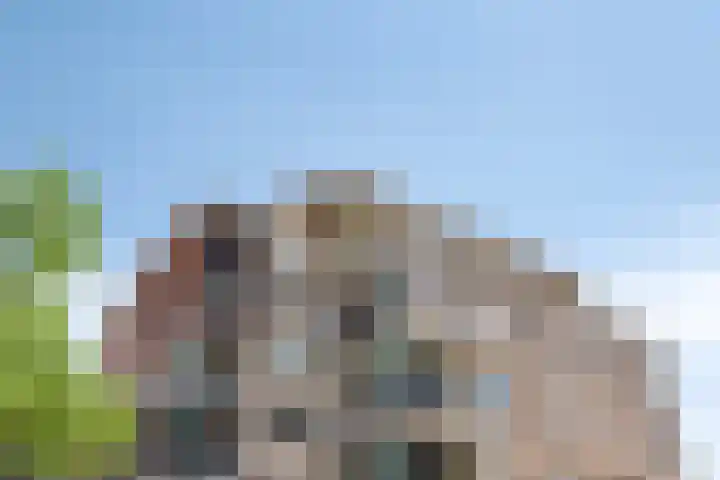 Maasboulevard 53 Roermond thumbnail 7