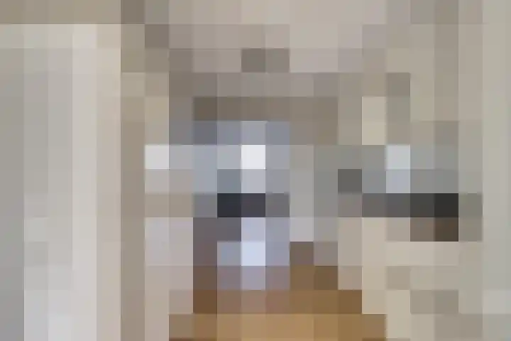 Maasboulevard 6 Spijkenisse thumbnail 5