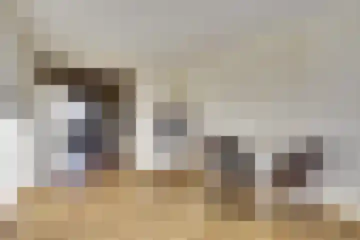 Maasboulevard 6 Spijkenisse thumbnail 9