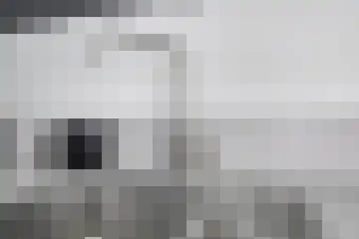 Maasboulevard 7 Spijkenisse thumbnail 15