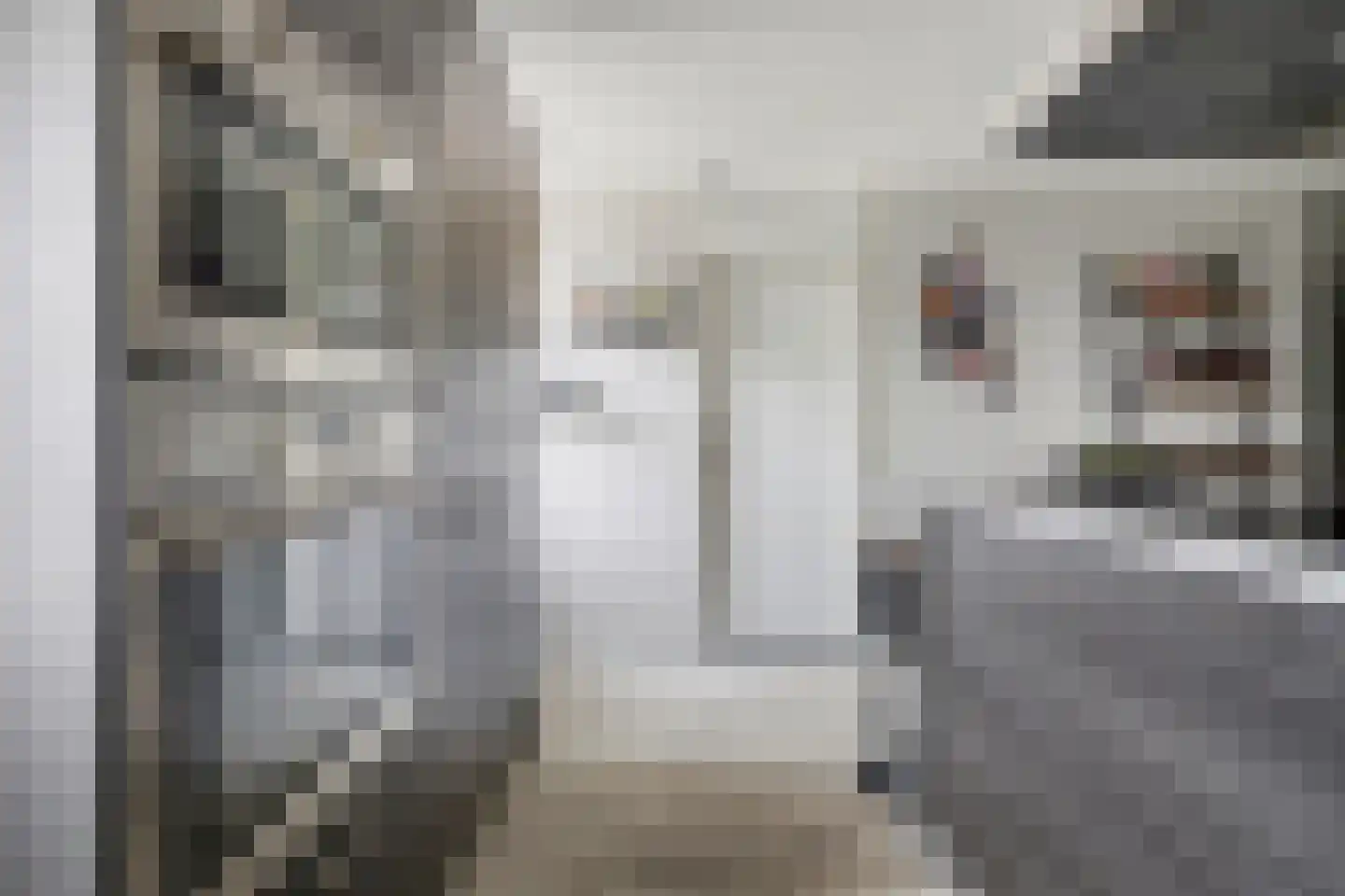 Maasboulevard 7 Spijkenisse thumbnail 17