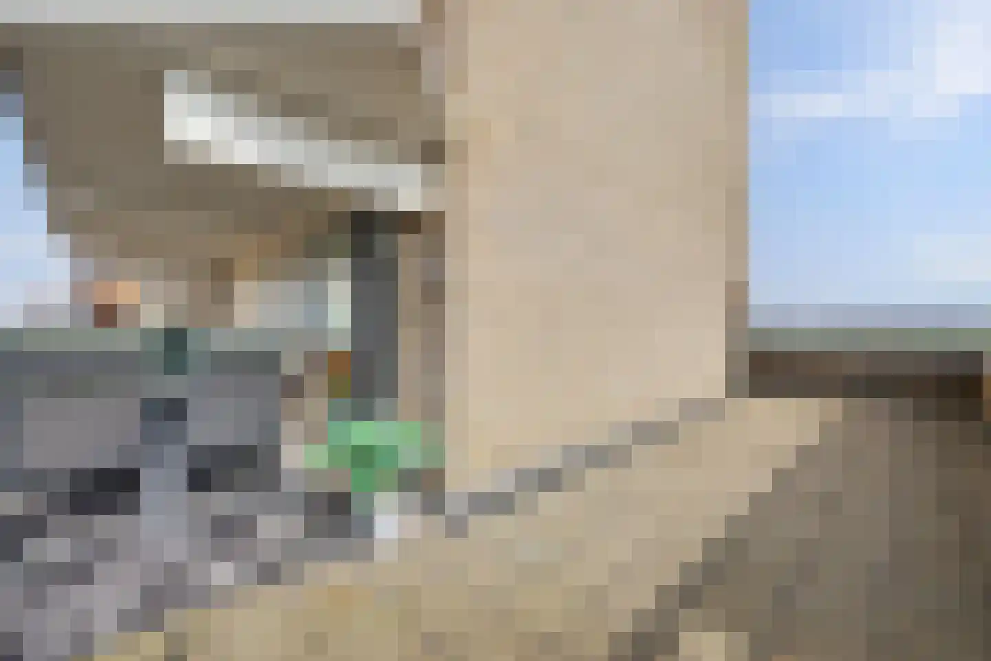 Maasboulevard 7 Spijkenisse thumbnail 27