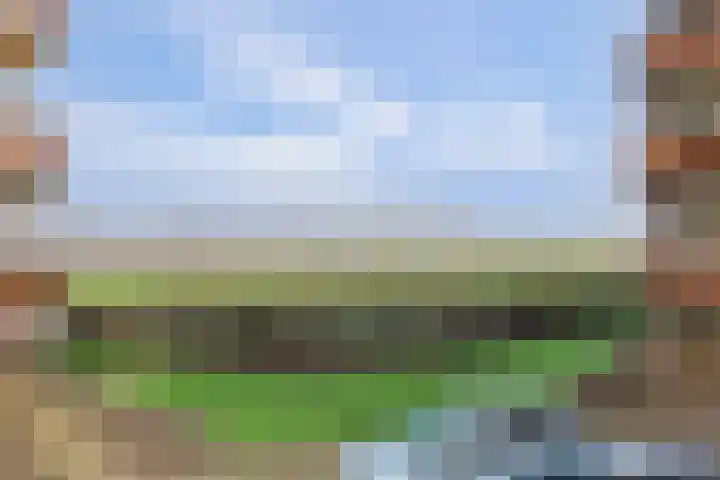 Maasboulevard 7 Spijkenisse thumbnail 28