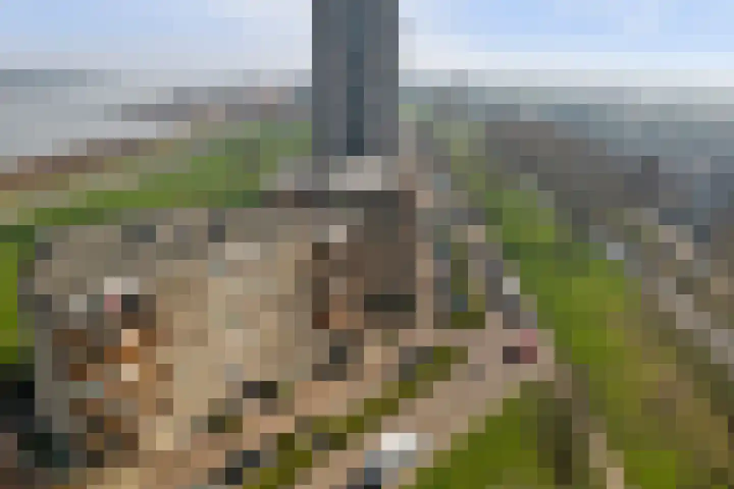 Maasboulevard 7 Spijkenisse thumbnail 31