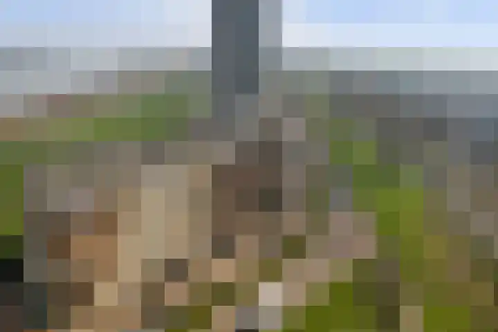 Maasboulevard 7 Spijkenisse thumbnail 31