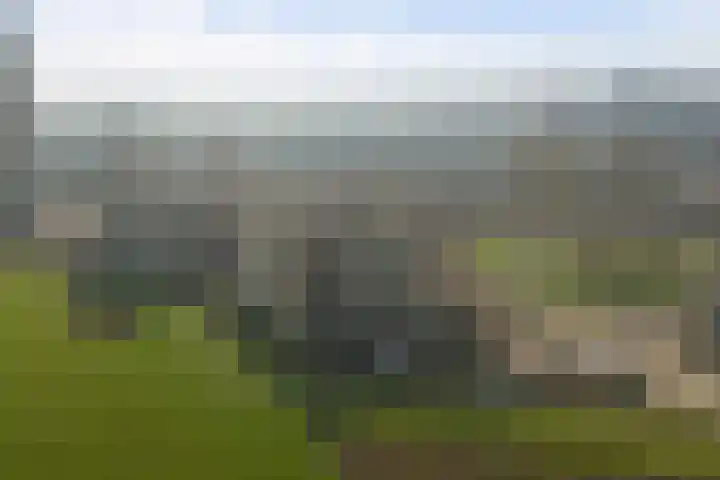 Maasboulevard 7 Spijkenisse thumbnail 34