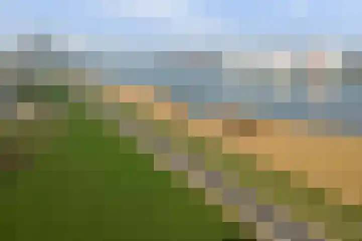Maasboulevard 7 Spijkenisse thumbnail 36