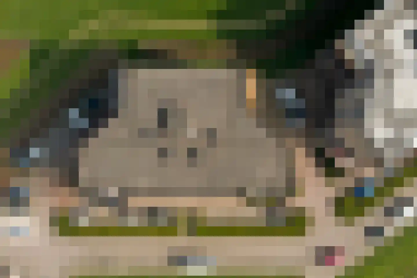 Maasboulevard 7 Spijkenisse thumbnail 37