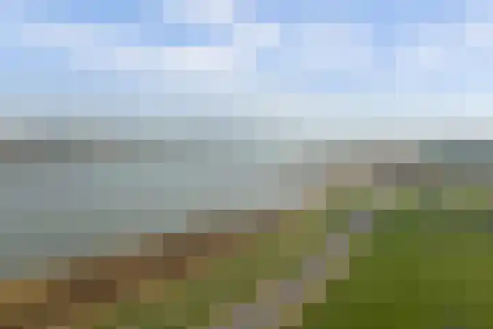 Maasboulevard 7 Spijkenisse thumbnail 38