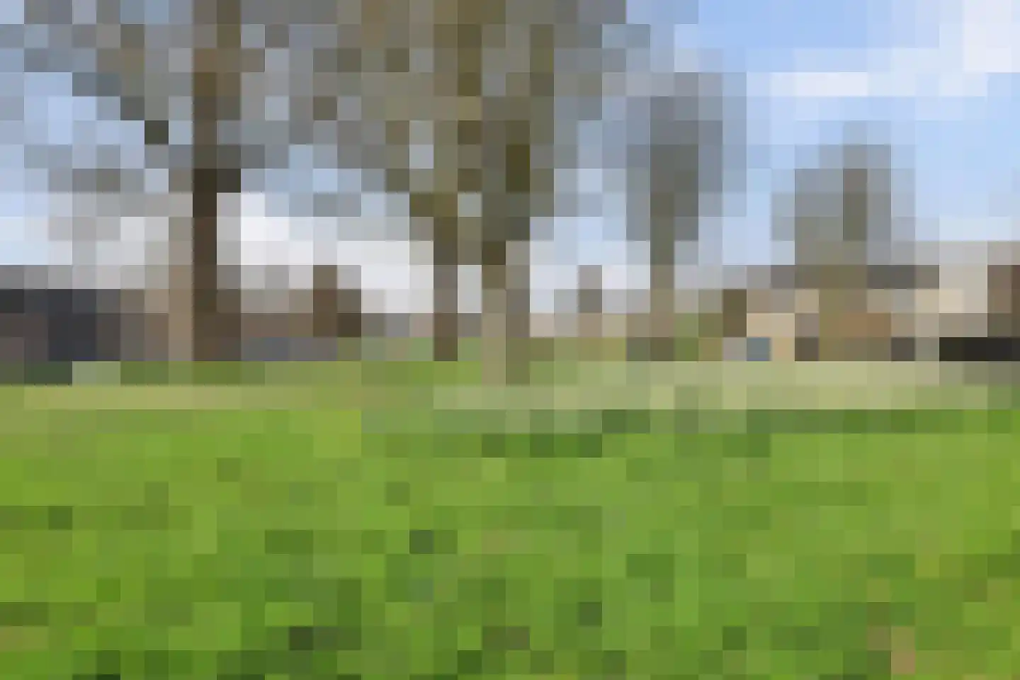 Maasboulevard 7 Spijkenisse thumbnail 43