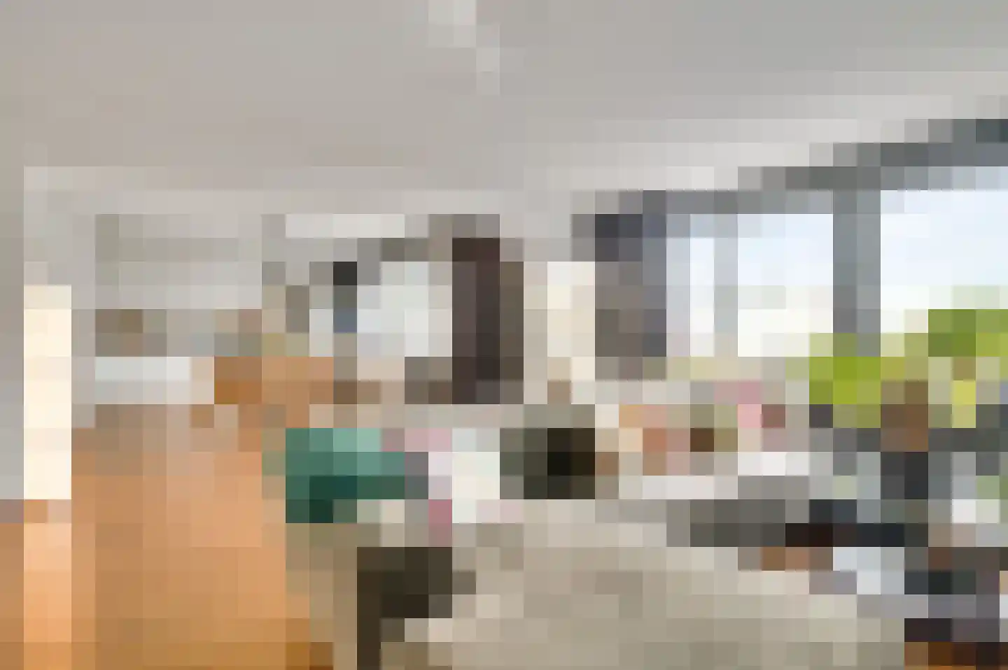 Maasboulevard 8 D Maastricht thumbnail 10