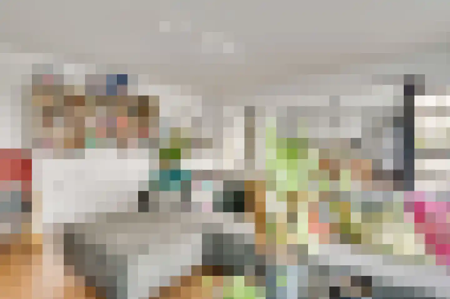 Maasboulevard 8 D Maastricht thumbnail 11