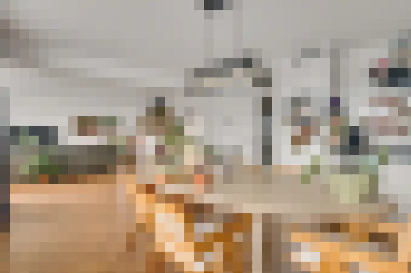Maasboulevard 8 D Maastricht thumbnail 13