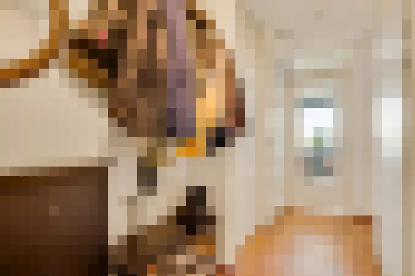 Maasboulevard 8 D Maastricht thumbnail 7