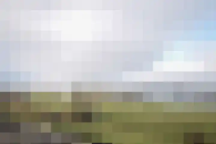 Maasboulevard 81 's-Hertogenbosch thumbnail 11