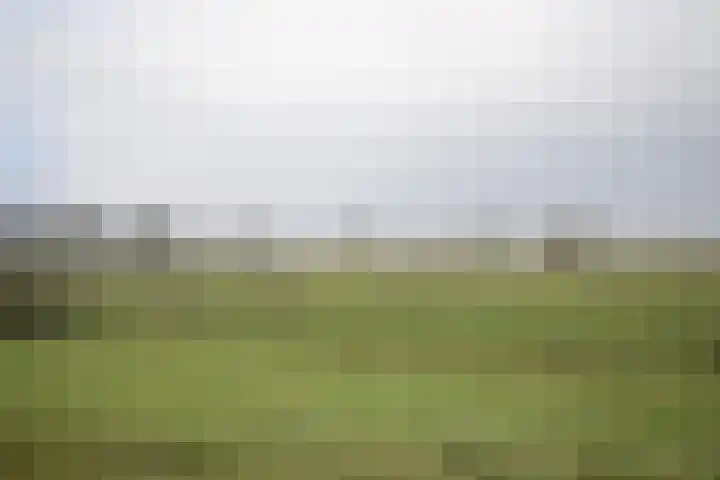 Maasboulevard 81 's-Hertogenbosch thumbnail 37