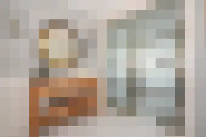 Maasboulevard 81 's-Hertogenbosch thumbnail 6
