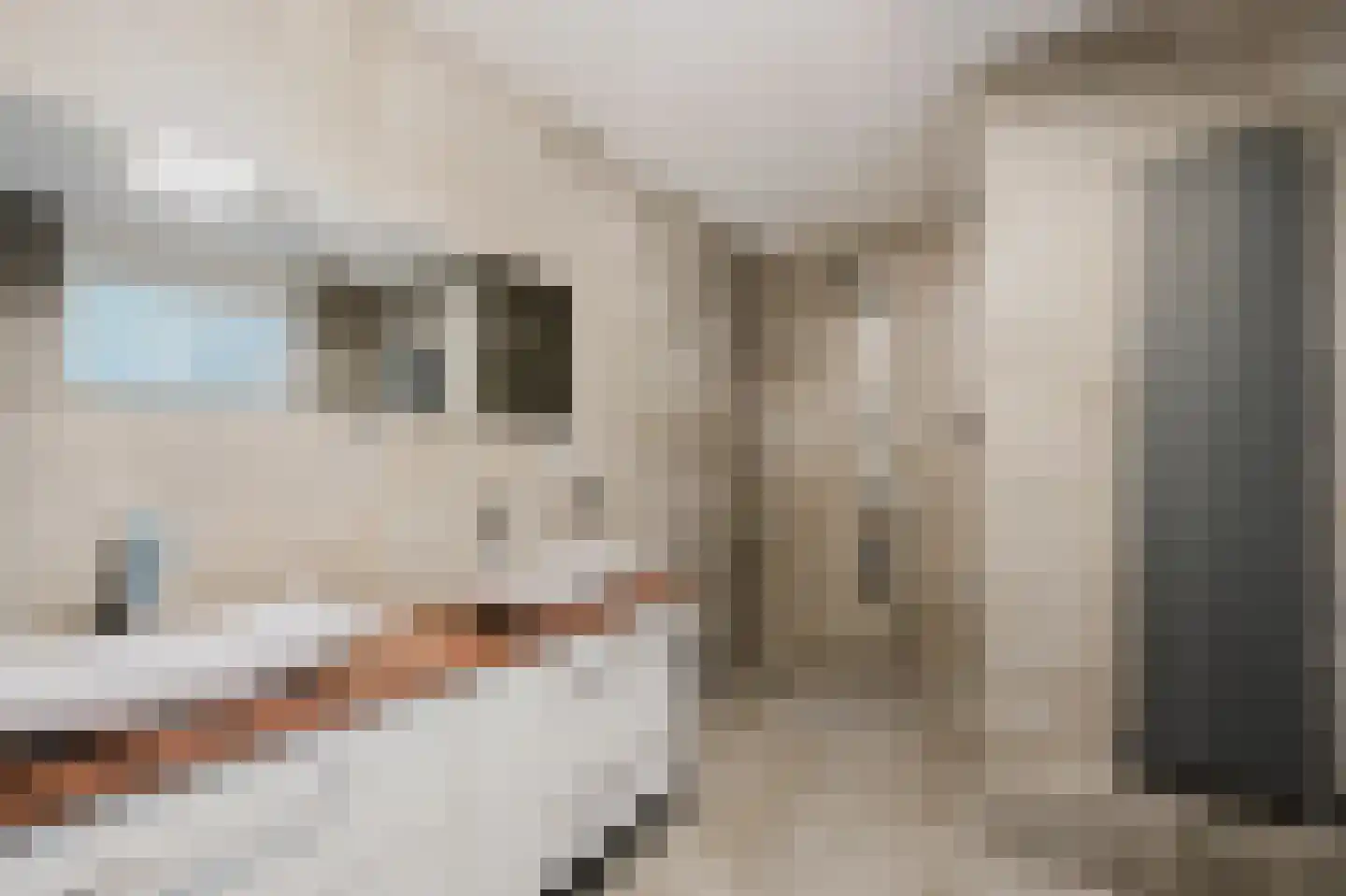 Maasboulevard 86 Spijkenisse thumbnail 18