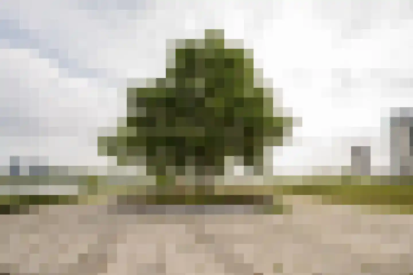Maasboulevard 86 Spijkenisse thumbnail 27