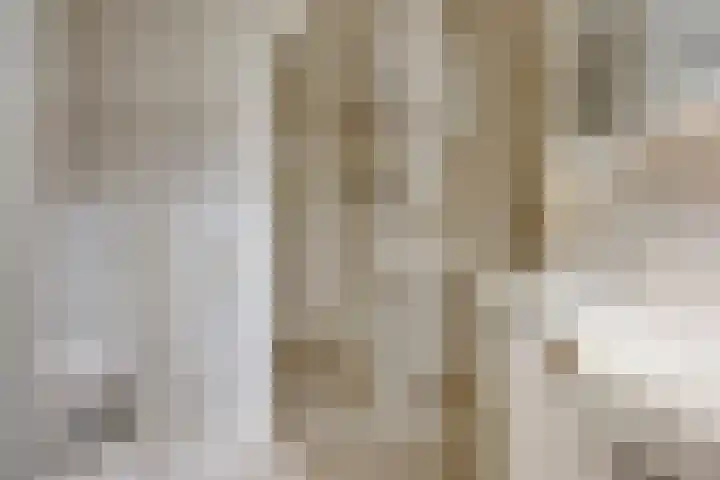 Maasboulevard 88 D Spijkenisse thumbnail 12