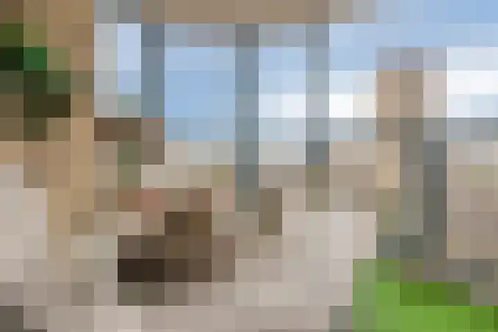 Maasboulevard 88 D Spijkenisse thumbnail 19