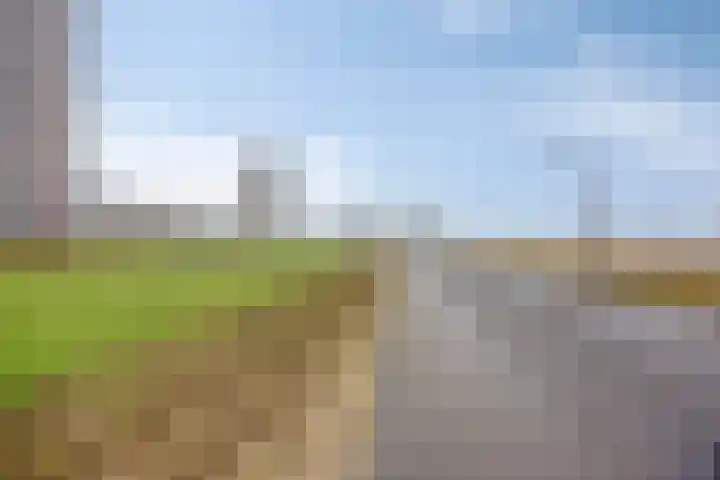 Maasboulevard 88 D Spijkenisse thumbnail 33