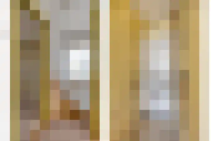 Maasbrachterweg 10 Linne thumbnail 12