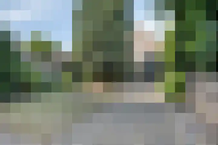 Maasbrachterweg 10 Linne thumbnail 20
