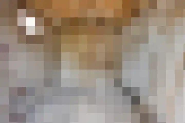 Maasbrachterweg 10 Linne thumbnail 22