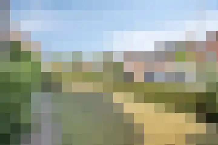 Maasbrachterweg 10 Linne thumbnail 23