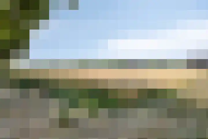 Maasbrachterweg 10 Linne thumbnail 27
