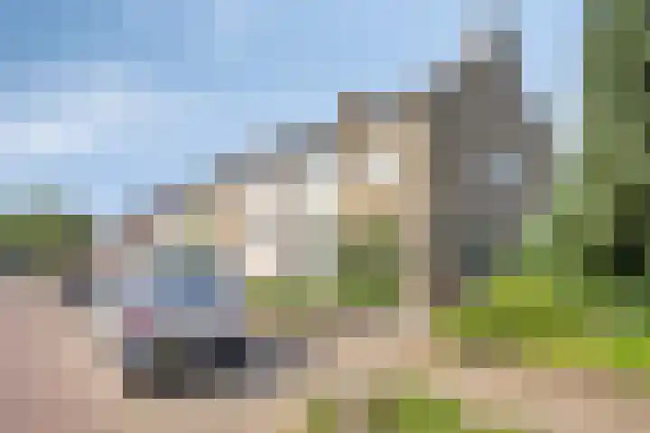 Maasbrachterweg 10 Linne thumbnail 4