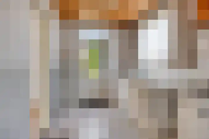 Maasbrachterweg 10 Linne thumbnail 9