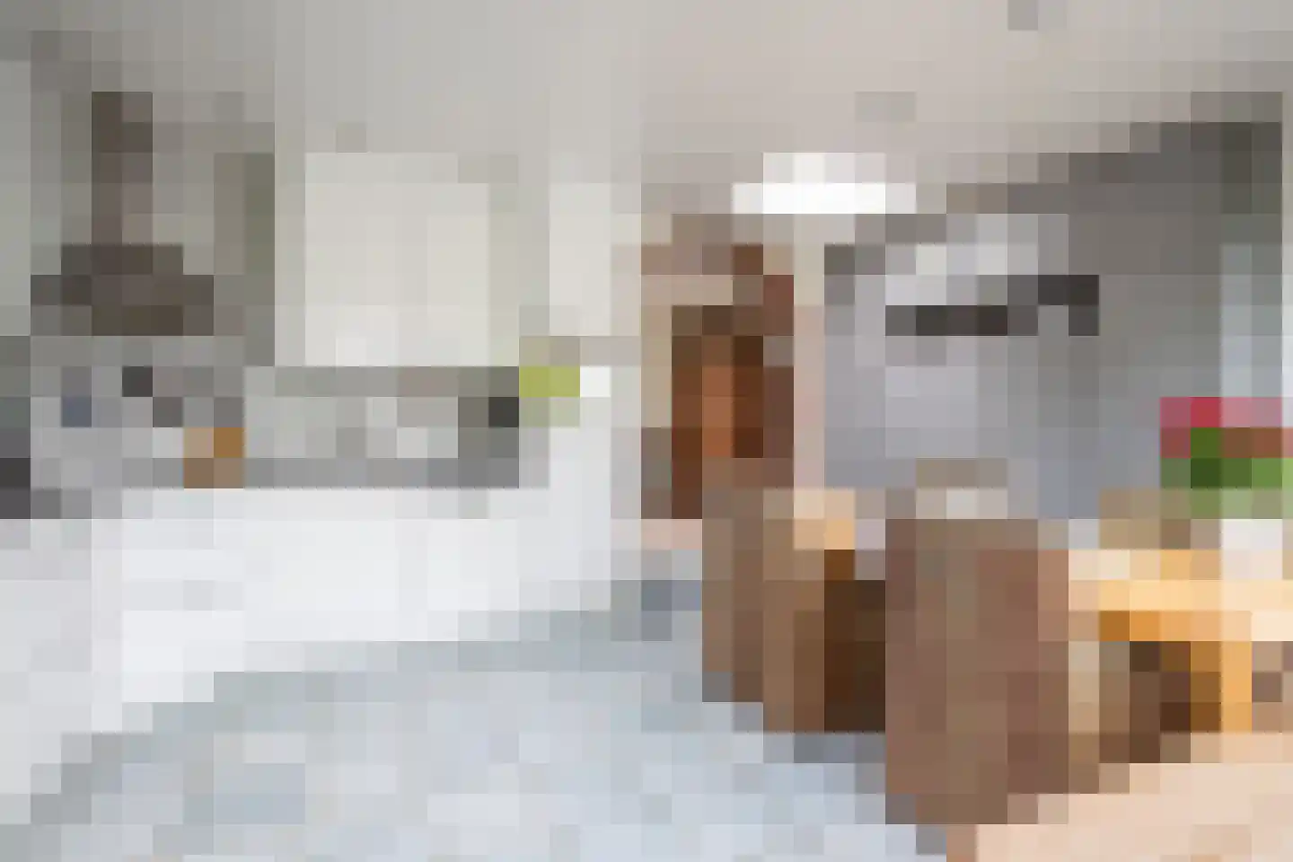 Maasbrachterweg 15 Linne thumbnail 10