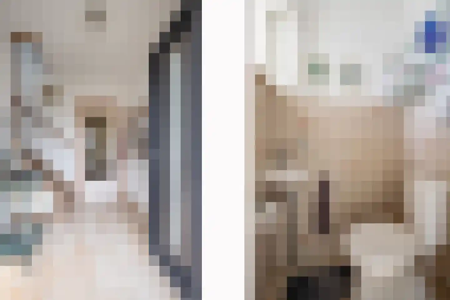 Maasbrachterweg 15 Linne thumbnail 11