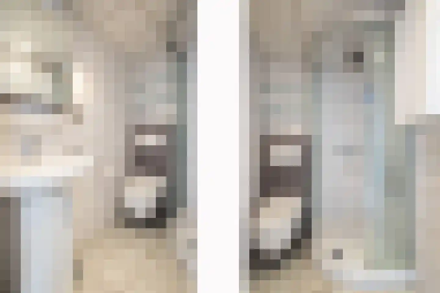 Maasbrachterweg 15 Linne thumbnail 17