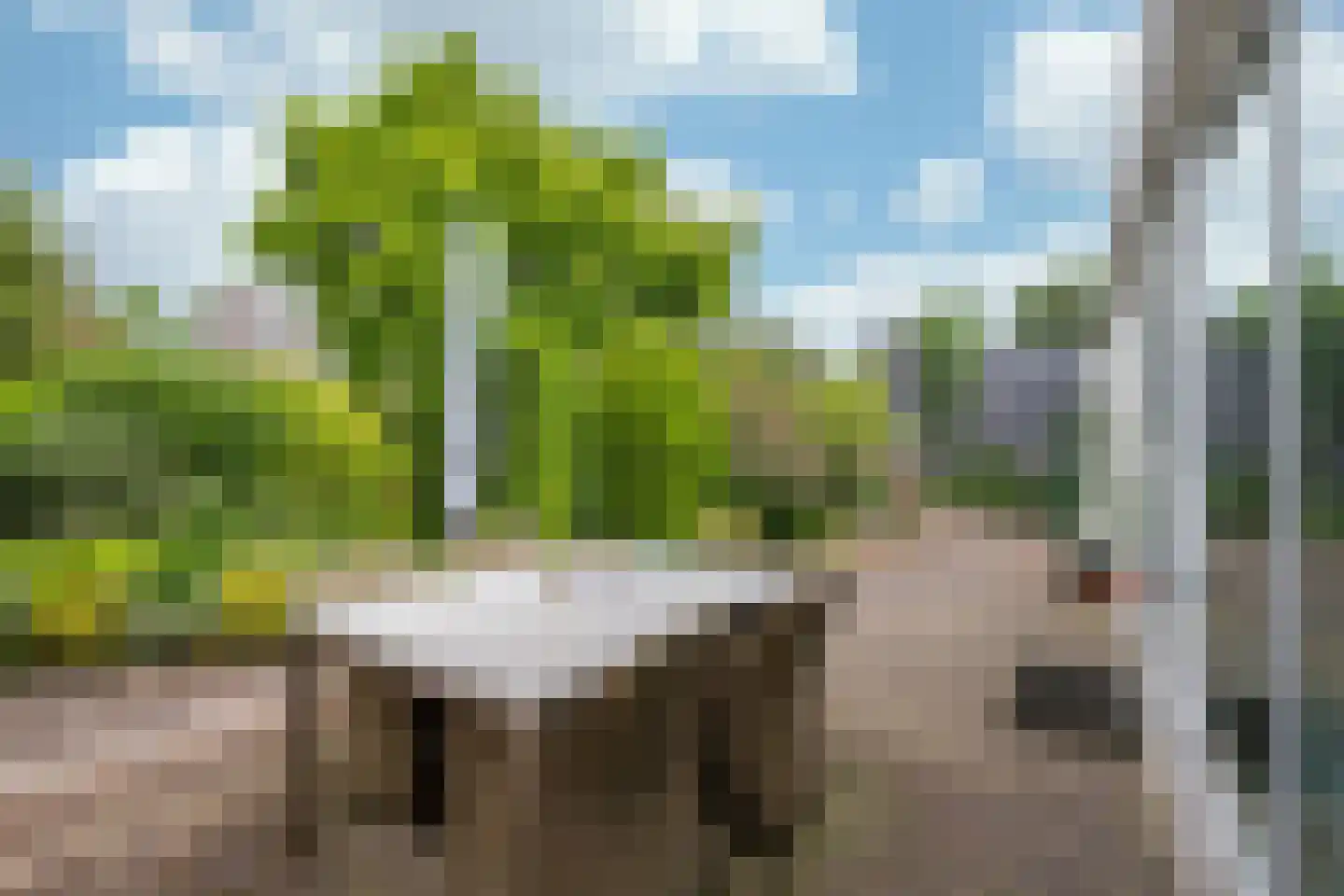 Maasbrachterweg 15 Linne thumbnail 18