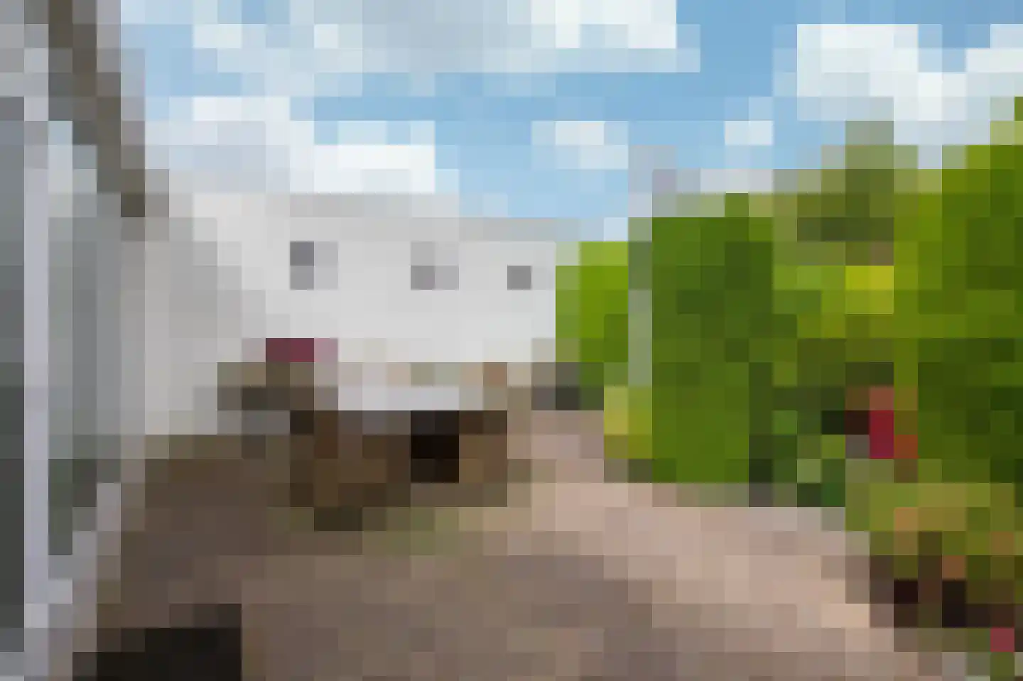 Maasbrachterweg 15 Linne thumbnail 19
