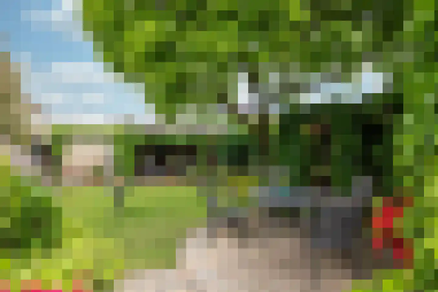 Maasbrachterweg 15 Linne thumbnail 21