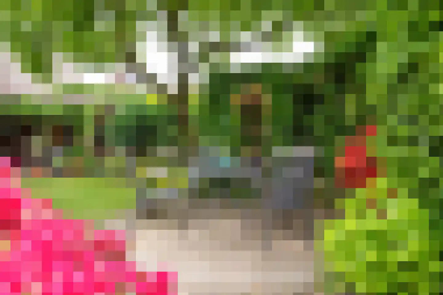 Maasbrachterweg 15 Linne thumbnail 22