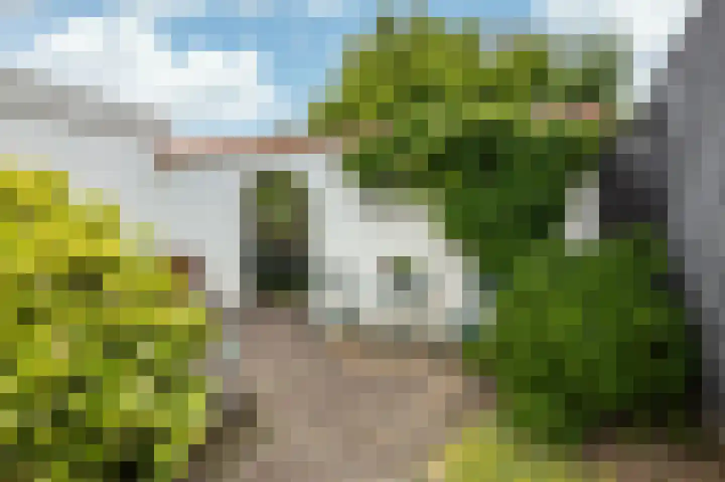 Maasbrachterweg 15 Linne thumbnail 24