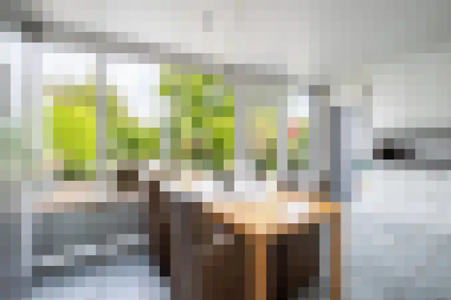 Maasbrachterweg 15 Linne thumbnail 9