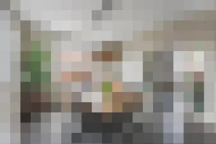 Maasbrachterweg 20 Echt thumbnail 12