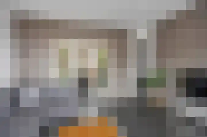 Maasbrachterweg 20 Echt thumbnail 16