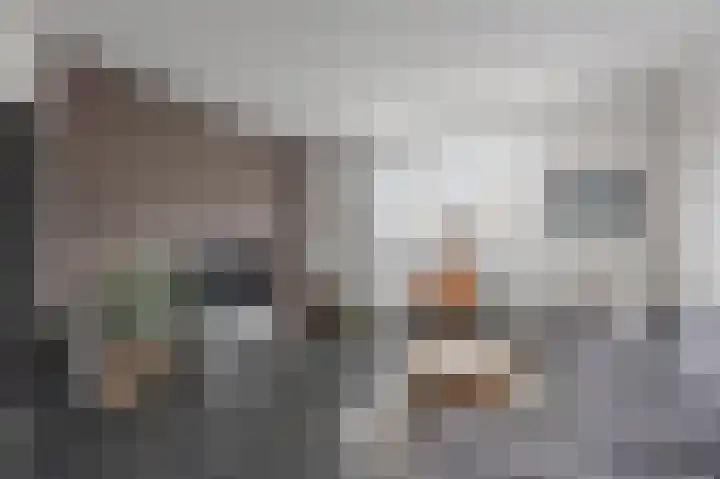 Maasbrachterweg 20 Echt thumbnail 17